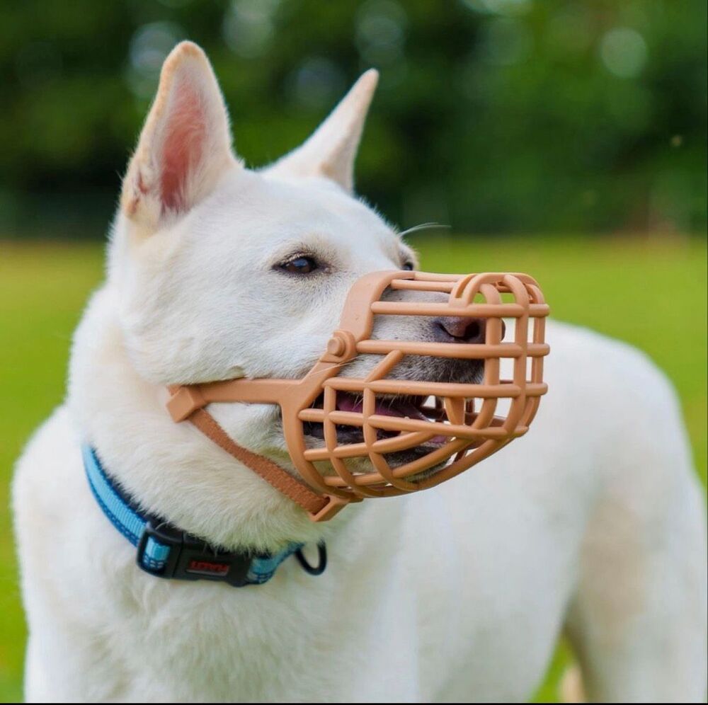 Baskerville Dog Muzzle Classic Anti Scavenge Basket Muzzle Size 10 NEW